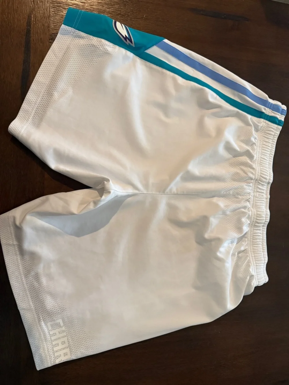 Jordan Charlotte Hornets On Court Player Shorts Nike 44 Pro Cut Game - Picture 4 of 13